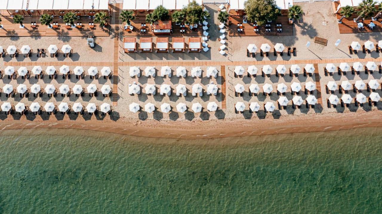 Wellness Santa Hotel - Adults Plus12 Agia Triada  Extérieur photo Aerial view of the beach